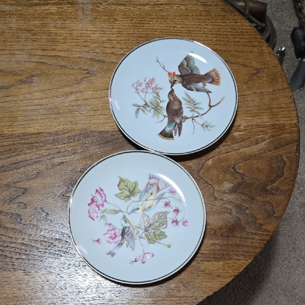 Elegant Bird Design Porcelain Plates - Set of 2